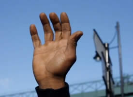 Thumbnail image for New PJ Harvey Video: Bitter Branches